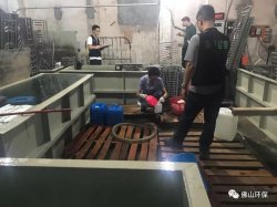 佛山三級(jí)環(huán)保加公安部門聯(lián)合執(zhí)法查處南海2家污企，七人被帶走調(diào)查