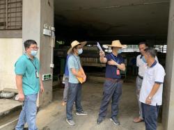 省市鎮聯合執法，東莞嚴查環境違法行為